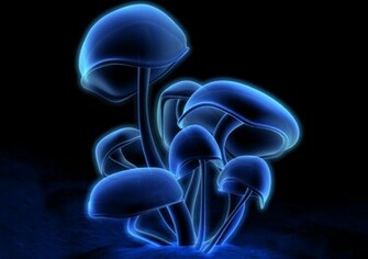 Shrooms Wallpaper Desktop Background
