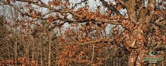 HD Wallpaper Mossy Oak Camo Break Up X Kb Jpeg