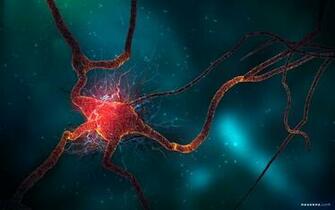 Neuron Cell Wallpaper HD