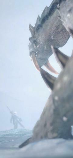 Barioth Vs Hunter Phone Wallpaper