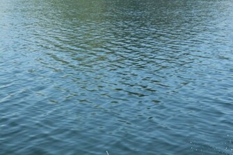 Water Background Stock Photo HD Public Domain Pictures