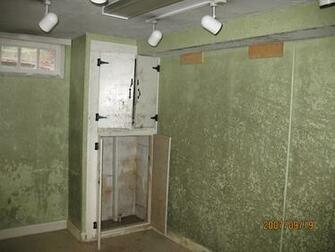 Mold Wallpaper
