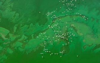 Os X Mavericks Wallpaper Aerial01 Panduan iPhone iPad Mac