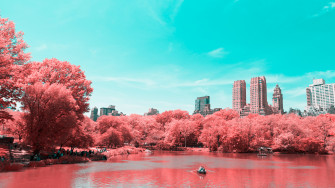 New York City Infrared 4k Central Park Manhattan Lake