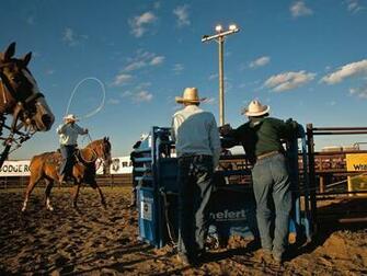 Rodeo Desktop Wallpaper From