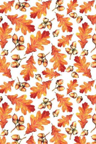 Seamless Watercolor Patterns Autumn Oak Leaves Acorns