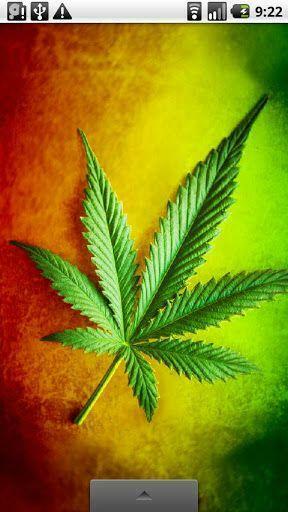 Live Wallpaper That Lets You Always Enjoy Pictures Of The Marijuana
