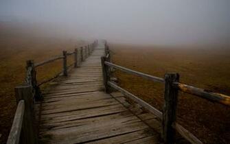 Wooden Bridge Broken On The Nature Wallpaper P High