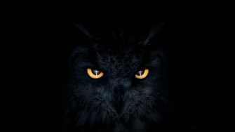 Glowing Eyes Wallpaper Glow