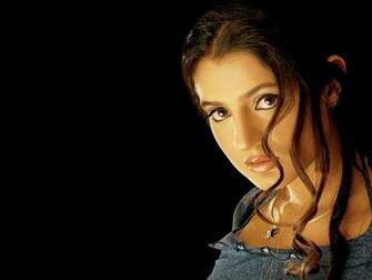 Amisha Patel Wallpaper HD High Definition