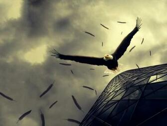 Majestic Eagle HD Wallpaper