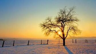 Winter Sunset HD Wallpaper For iPhone