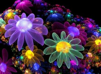 Neon Colorful Wallpaper Contents