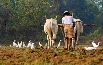 Image HD Indian Farmer In Farm Of Farmers
