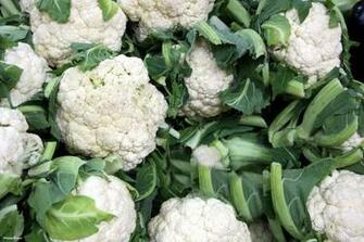 Vegetable Wallpaper