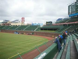 Wrigley Field Ivy Wallpaper Brown And Kyle In Grey