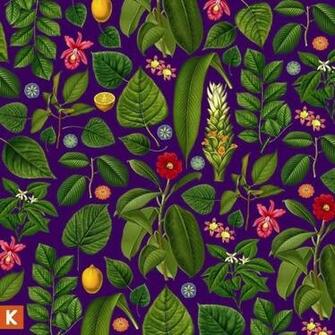 Jesusfreakhideout Kings Kaleidoscope Becoming Who We Are