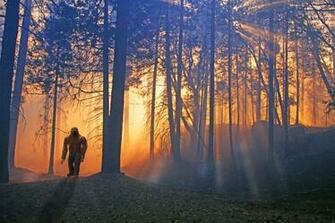 In Search Of Bigfoot A Televised Expedition May Prove The Elusive