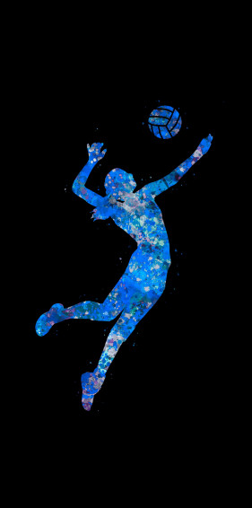 Volleyball Wallpaper And