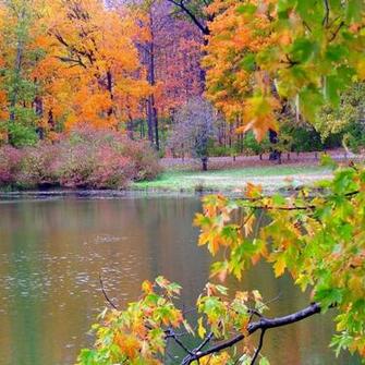 Autumn Nature iPad Wallpaper iPhone