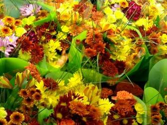 Fall Floral Bouquets Texture Picture Photograph Photos Public