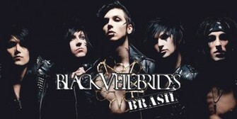 Black Veil Brides Wallpaper