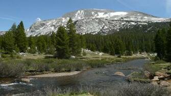 High Country Mountain Stream Ii