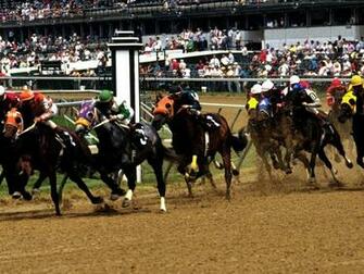 Racing Horse Horses Beautiful In The Race Wallpaper With