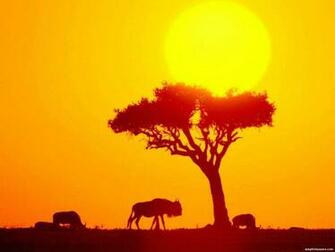 Africa Wallpaper