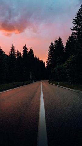 Man On Road Mist Nature iPhone Wallpaper