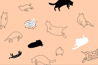 Cat Art Wallpaper