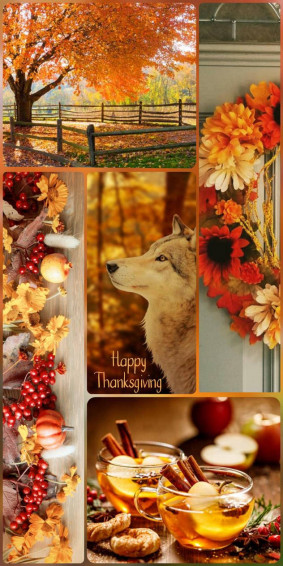 Thanksgiving Poster By Maine9905