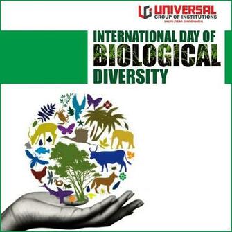 Biodiversity Starts In The Distant Past And It Points Toward