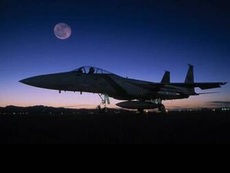 Hornet Wallpaper X