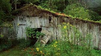 Barn Overgrowth Abandon Deserted Urban Decay HD Wallpaper Gallery