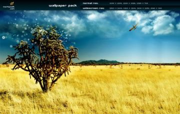 The Magic Tree Wallpaper Pack By Mpk2