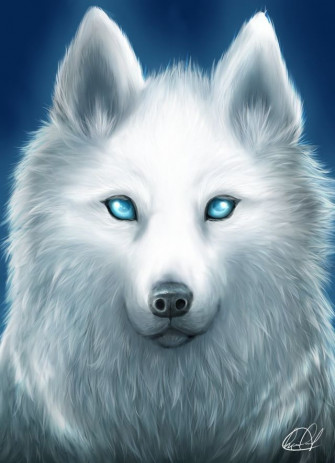 Which Pony From My Little Are You Wolf Spirit Animal Cute