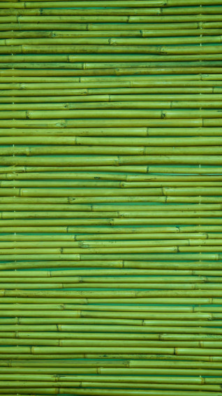 Bamboo Netting Photo Wallpaper