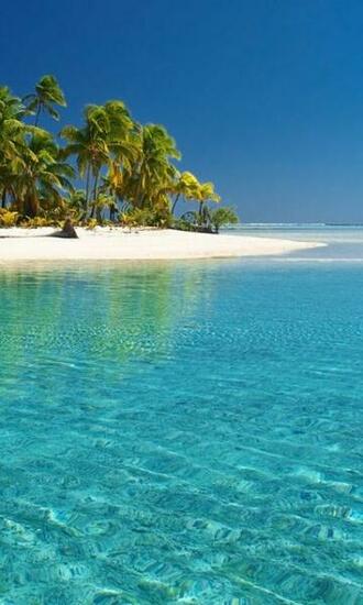 Amzazing S Of Summer Season HD Wallpaper Apk
