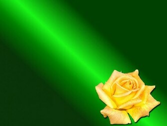 Green Rose Wallpaper