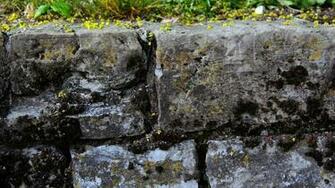 Pin Top Of The Wall Desktop Wallpaper Best Sites Htm