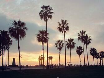 Venice Beach Sunset Wallpaper At Wallpaperbro