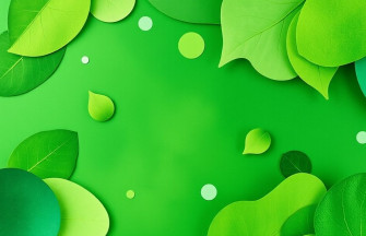 Green Color Background Wallpaper