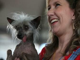 HD Ugly Dog Pics Funny