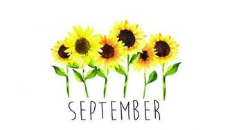 Sunflowers Bie September Tech Wallpaper Design Works Intl