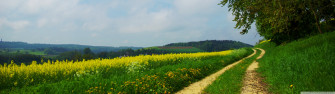 Road On The Hills Summer Ultra HD Desktop Background Wallpaper For