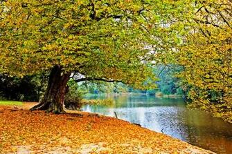 Beautiful Nature Wallpaper Live HD Hq Pictures