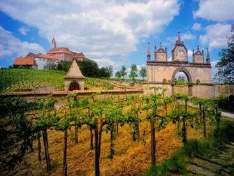 Glass House Winery Hours