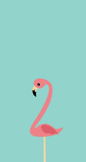 Pink Flamingo Tattoo