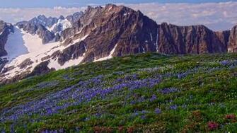 North Cascades National Park Wallpaper Washington